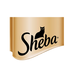 SHEBA