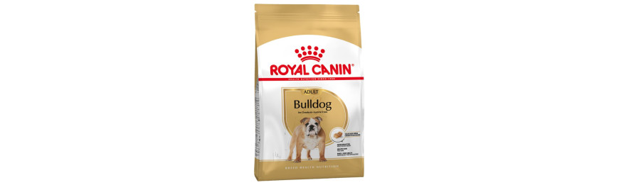 Royal Canin 法國皇家 金裝專用犬隻系列