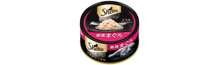 Sheba 日式黑罐