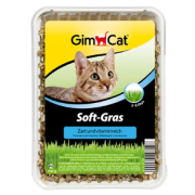 GIMCAT (黃盒) 簡易種植貓草 HYDRO-GRAS
