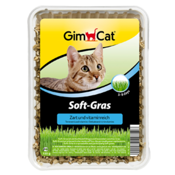 GIMCAT (黃盒) 簡易種植貓草 HYDRO-GRAS