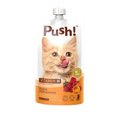 Push! - 噗滋包 甲魚雞肉口味 貓咪主食肉泥 唧唧包 台灣製 110g [PH07]