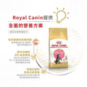 ROYAL CANIN  純種系列 FBN 緬因貓 幼貓糧 2kg [R448637]
