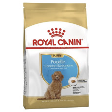 Royal Canin 純種系列 - 貴婦狗幼犬專屬配方 *Poodle Puppy* 狗乾糧 03kg [2576700]