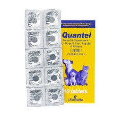 Quantel 康圖 貓狗寵物用廣效杜蟲藥 01粒 (散裝)
