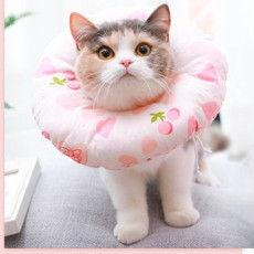 貓貓水泡軟頭罩 L ( 款式隨機 )