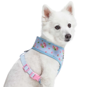 美國Blueberry Pet - Spring Scent Inspired Floral 狗用胸帶背心 *XS* (Pastel Blue)