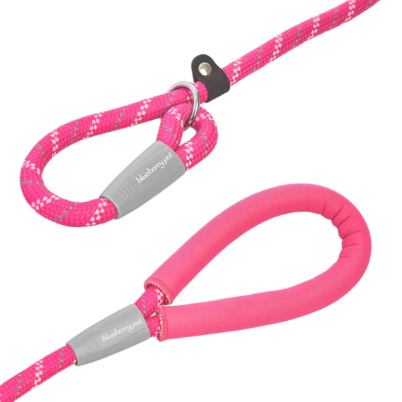 美國Blueberry Pet- 斜條紋P繩訓練套裝 (6吋長) (粉紅 / Pink)