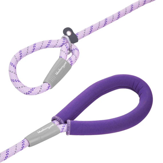 美國Blueberry Pet- 斜條紋P繩訓練套裝 (6吋長) (薰衣草 / Lavender)