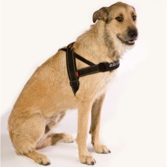 EZYDOG - Quick Fit Dog Harness 快套式胸背帶 - 紅色