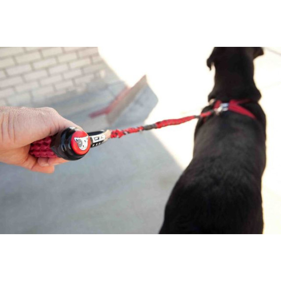EZYDOG - Cujo Shock Absorbing Dog Leash 原創三角牽繩 (25"/ 64cm) |藍色 [C25 Blue]