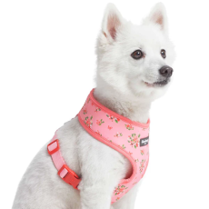 美國Blueberry Pet - Spring Scent Inspired Floral 狗用胸帶背心 *XS* (Rose Baby Pink)