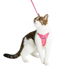 美國blueberrypet - 反光貓背帶和牽引繩套裝 (櫻桃粉Cerise Pink)