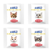 SUNRISE AIM30 日本保健貓小食 KARITTO TREATS サーモン味 海鮮味 5G X 5 獨立包裝